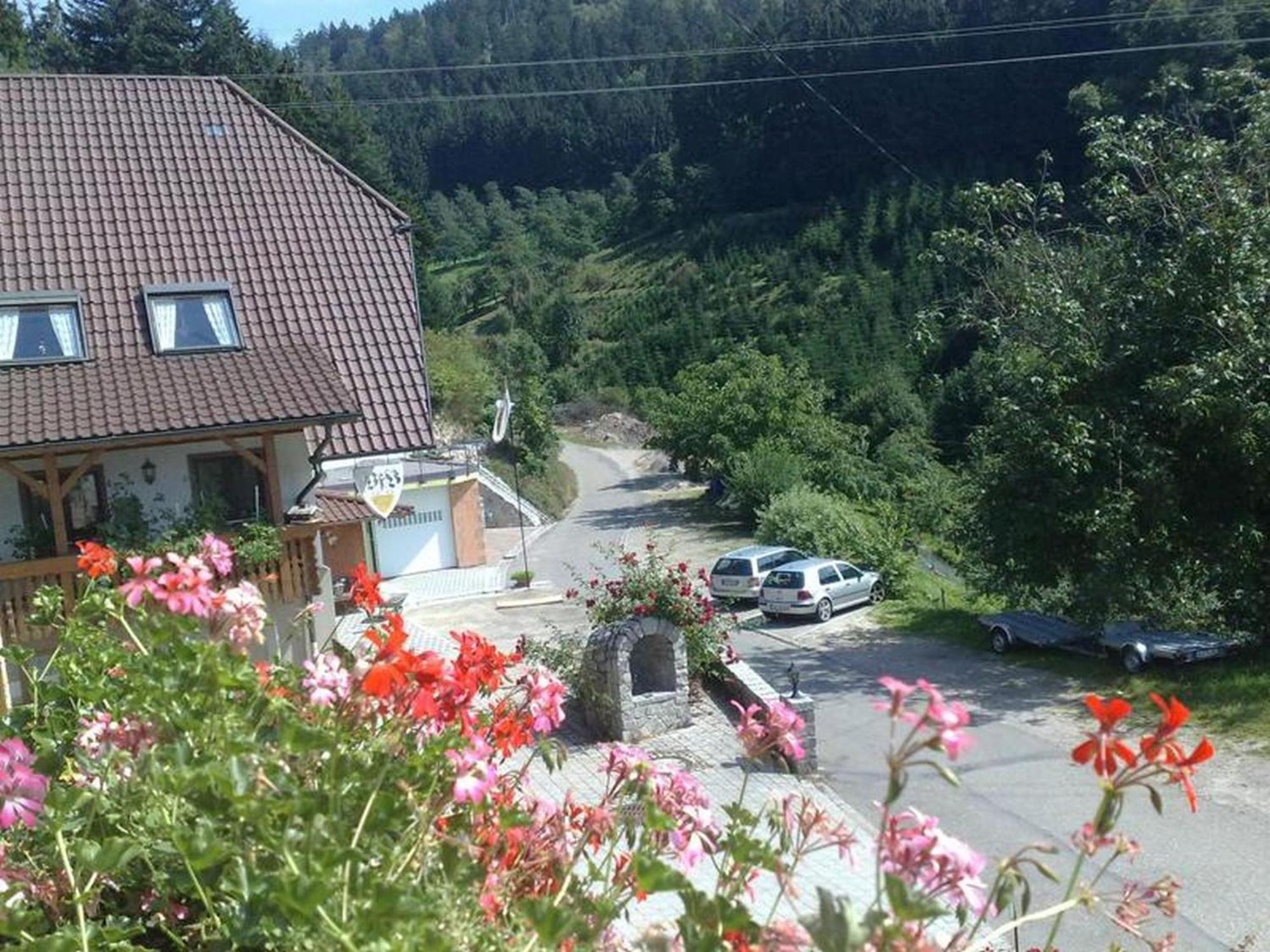 Ferienwohnung Schneckenhus Lautenbach Kültér fotó