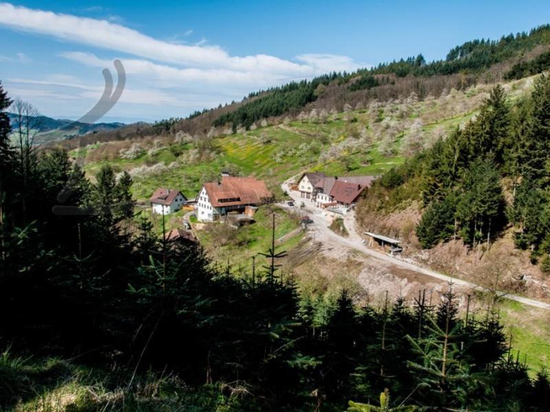 Ferienwohnung Schneckenhus Lautenbach Kültér fotó