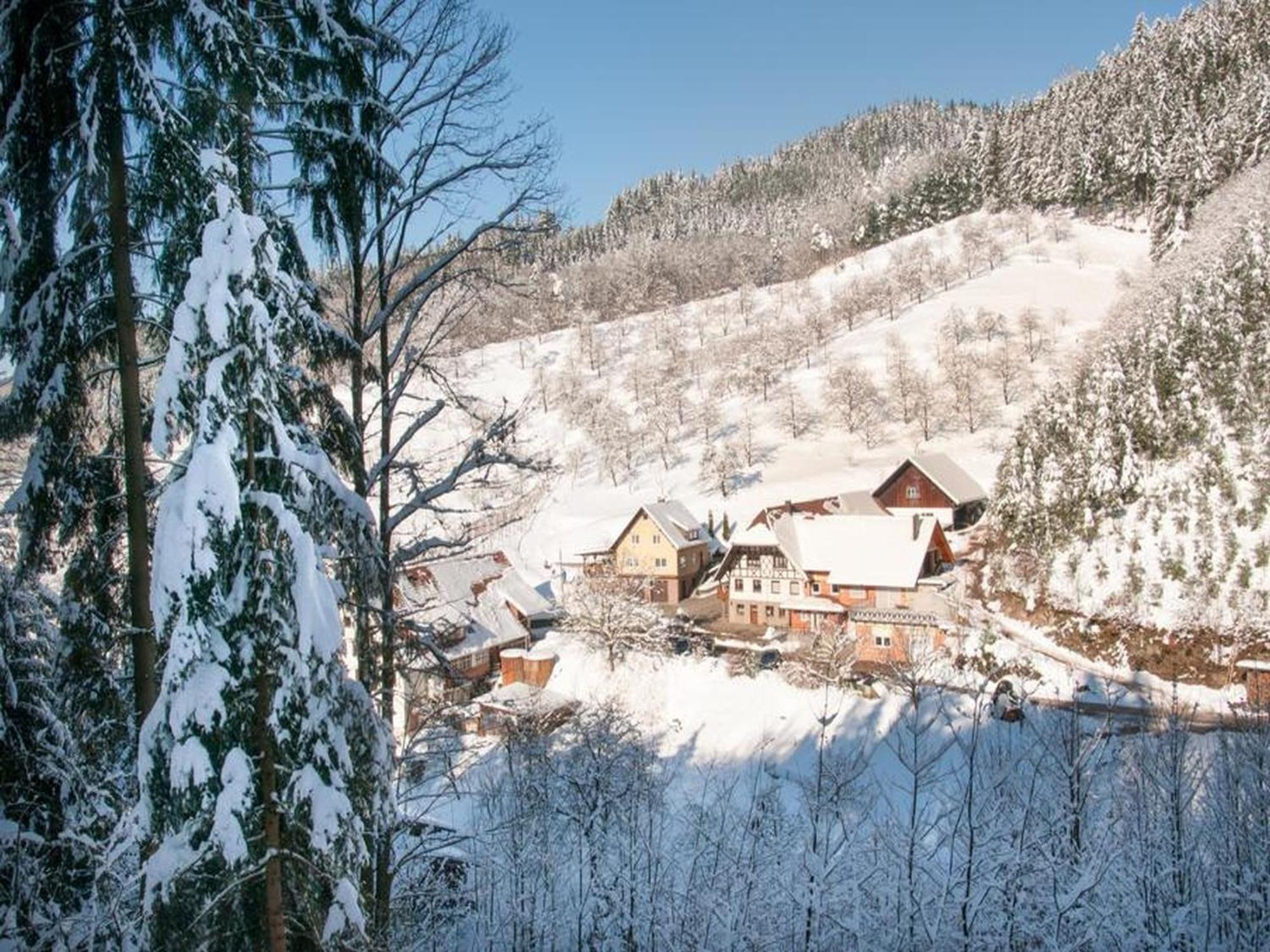 Ferienwohnung Schneckenhus Lautenbach Kültér fotó