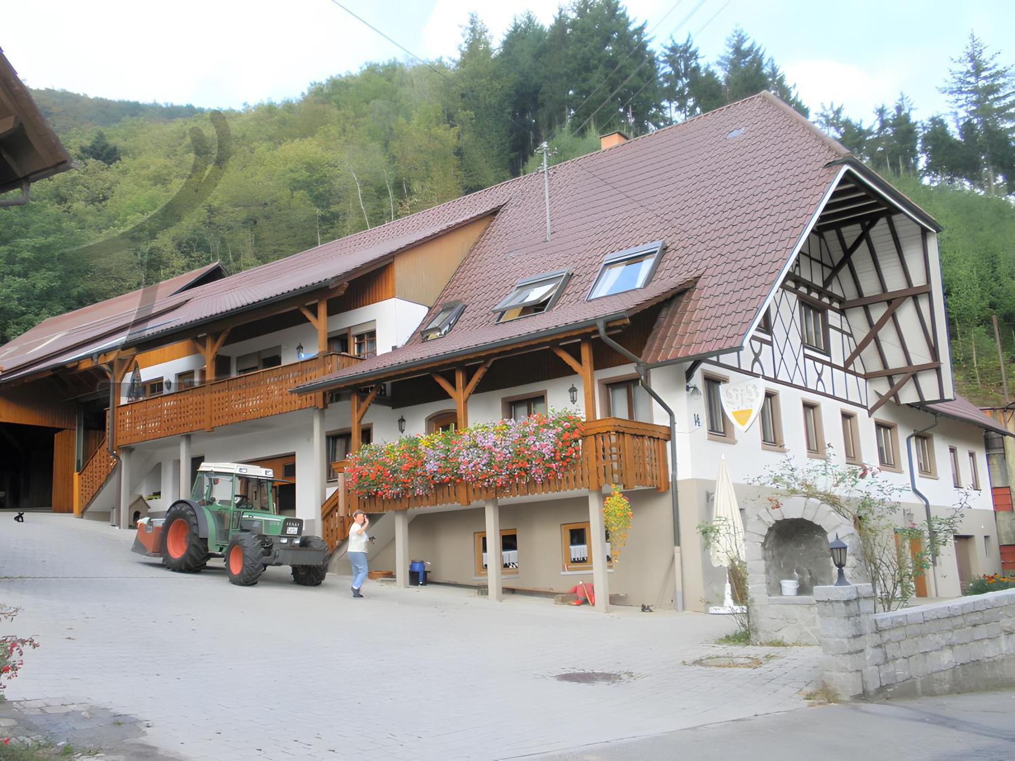 Ferienwohnung Schneckenhus Lautenbach Kültér fotó